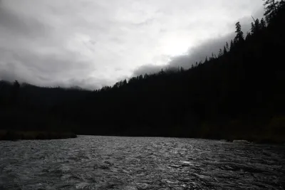 DSC_0178 (Large).JPG